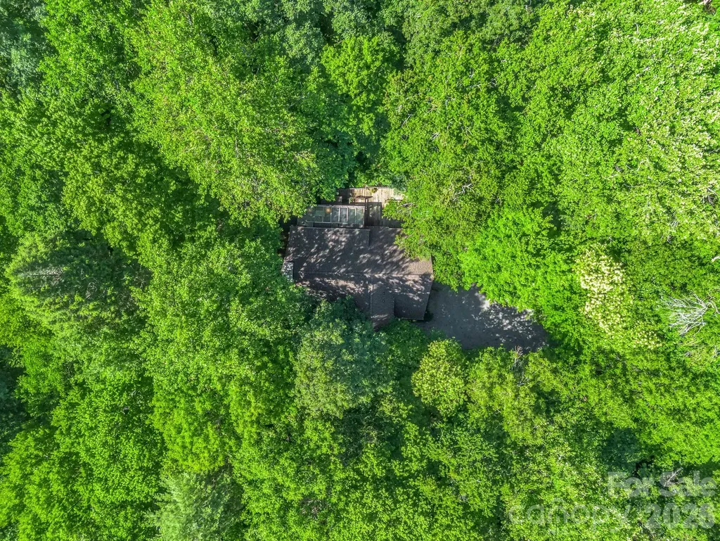 141 Hemlock Lane Lake Lure NC 28746