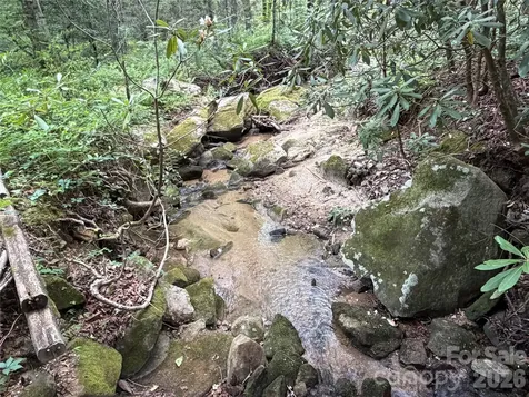 141 Hemlock Lane Lake Lure NC 28746