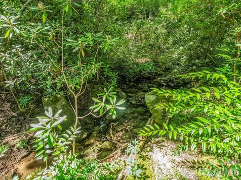 141 Hemlock Lane Lake Lure NC 28746