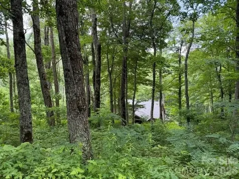 Lot 21 Odalu Trail Maggie Valley NC 28751