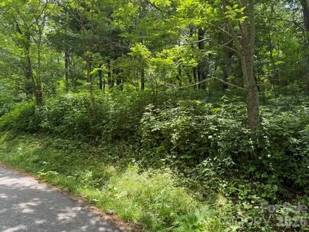 Lot 33 Toi Trail Maggie Valley NC 28751