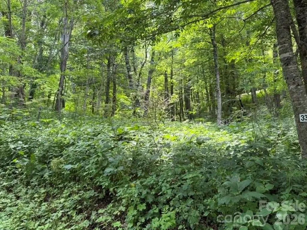 Lot 33 Toi Trail Maggie Valley NC 28751