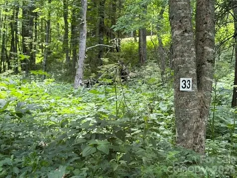Lot 33 Toi Trail Maggie Valley NC 28751