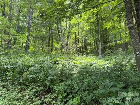 Lot 33 Toi Trail Maggie Valley NC 28751