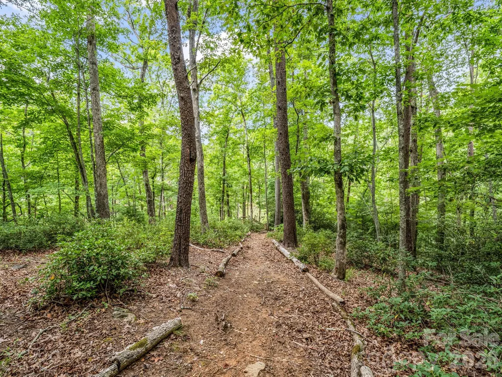 617 South Cove Road Mill Spring NC 28756