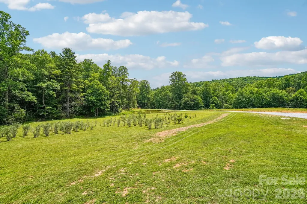 246 Appalachian Spruce Pine NC 28777