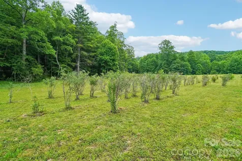 246 Appalachian Spruce Pine NC 28777