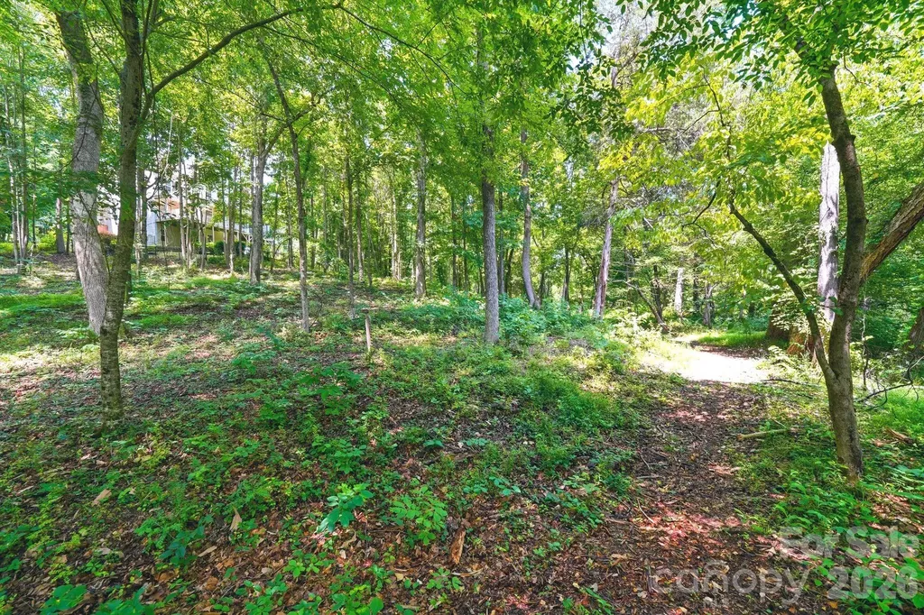 309 Walking Horse Trail Davidson NC 28036