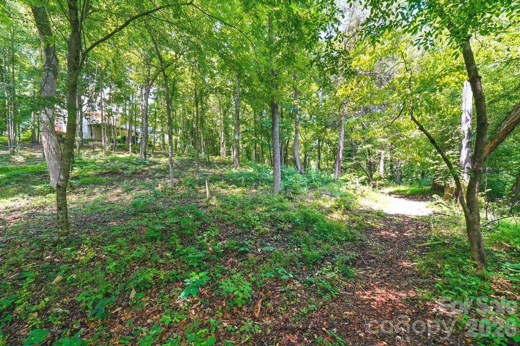 309 Walking Horse Trail Davidson NC 28036