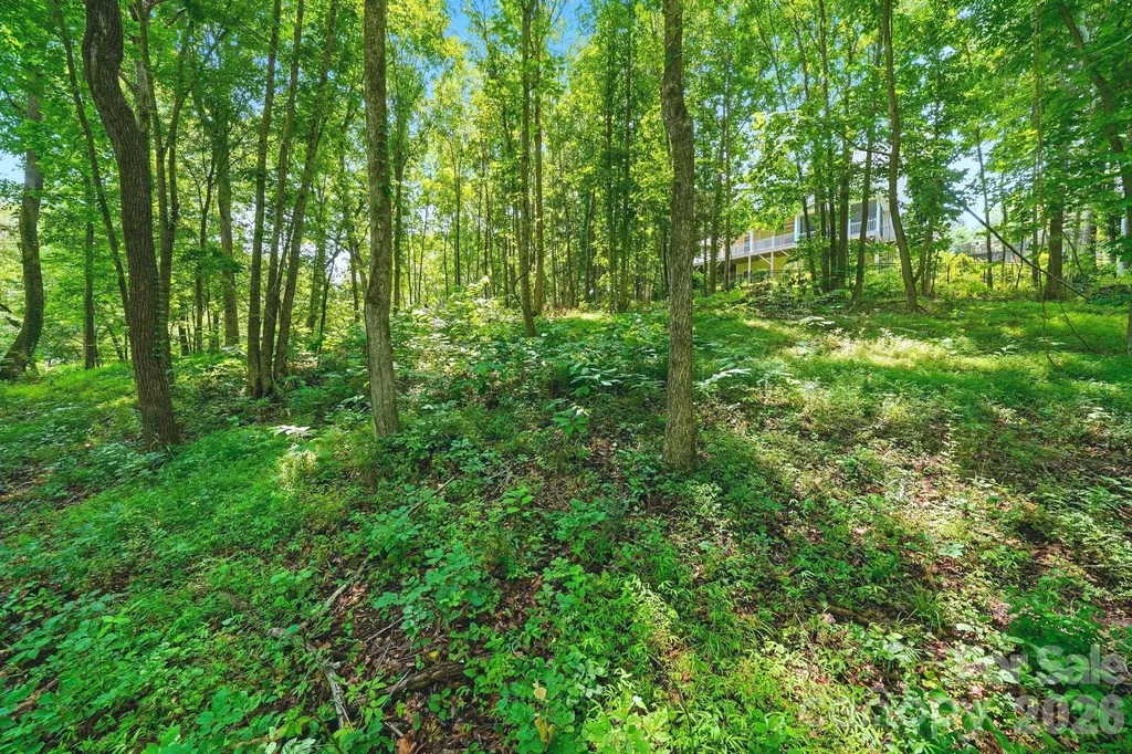 309 Walking Horse Trail Davidson NC 28036
