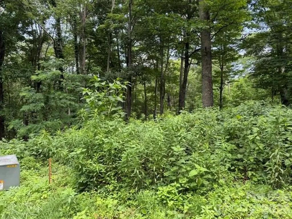 Lot 28 Toi Trail Maggie Valley NC 28751