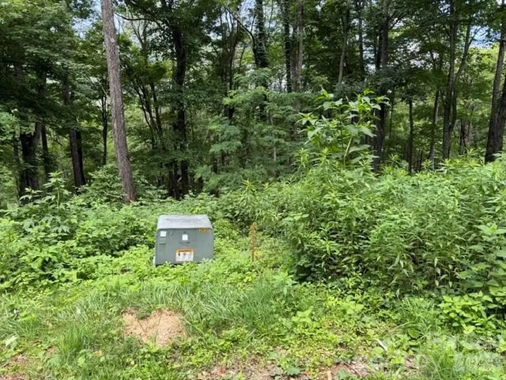 Lot 28 Toi Trail Maggie Valley NC 28751