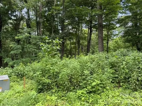 Lot 28 Toi Trail Maggie Valley NC 28751