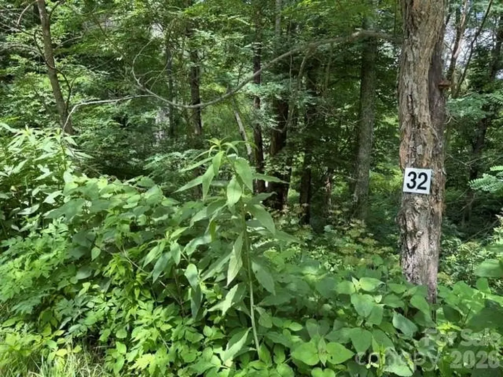 Lot 32 Toi Trail Maggie Valley NC 28751