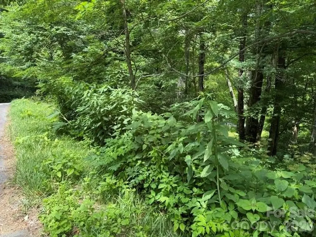 Lot 32 Toi Trail Maggie Valley NC 28751