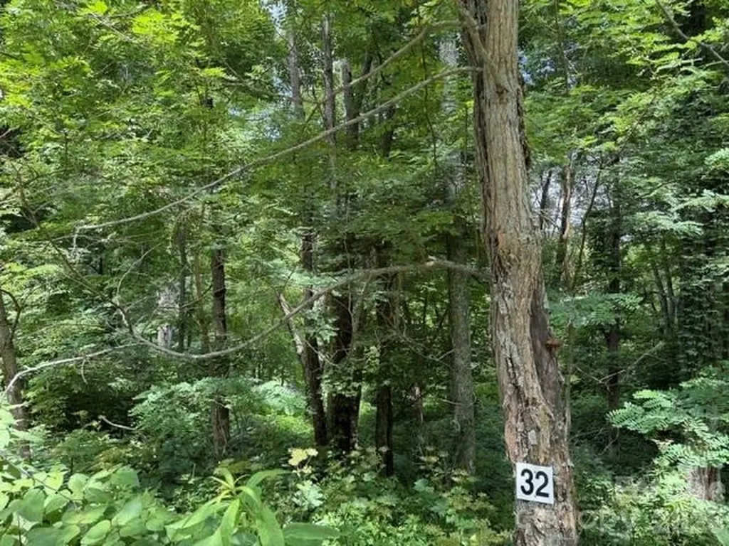 Lot 32 Toi Trail Maggie Valley NC 28751