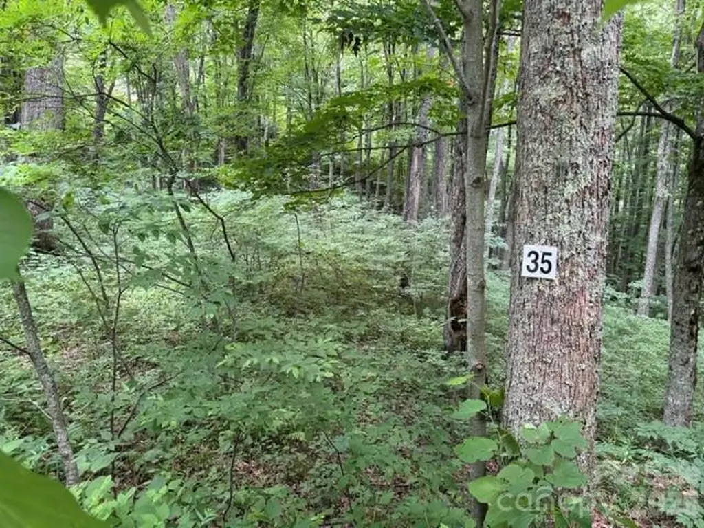 Lot 35 Odalu Trail Maggie Valley NC 28751
