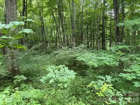 Lot 35 Odalu Trail Maggie Valley NC 28751