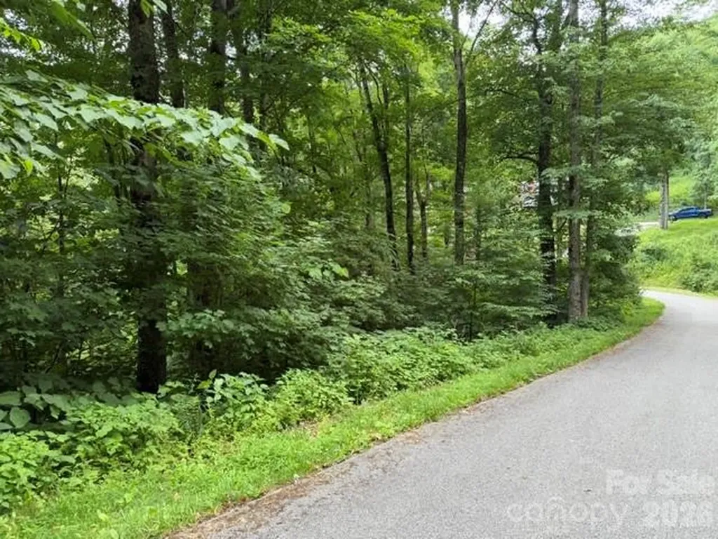 Lot 43 Gata Trail Maggie Valley NC 28751
