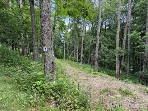 Lot 7 Gadohi Trail Maggie Valley NC 28751