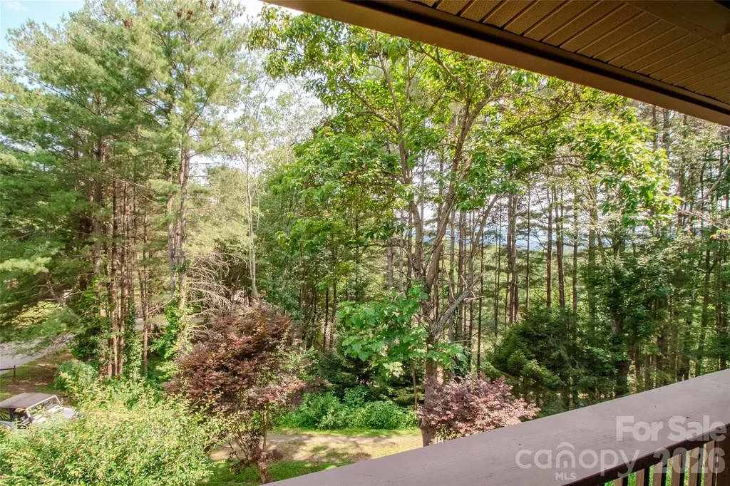 49 Jake Drive Canton NC 28716