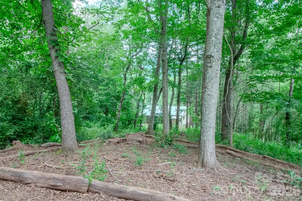 49 Jake Drive Canton NC 28716