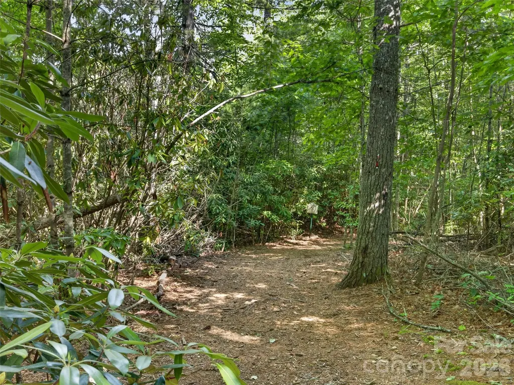 435 Allen Mountain Lane Spruce Pine NC 28777