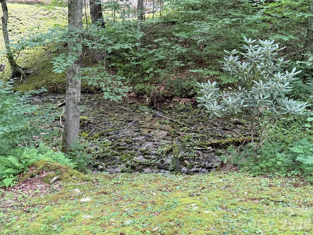 Lot 19 Iga Trail Maggie Valley NC 28751