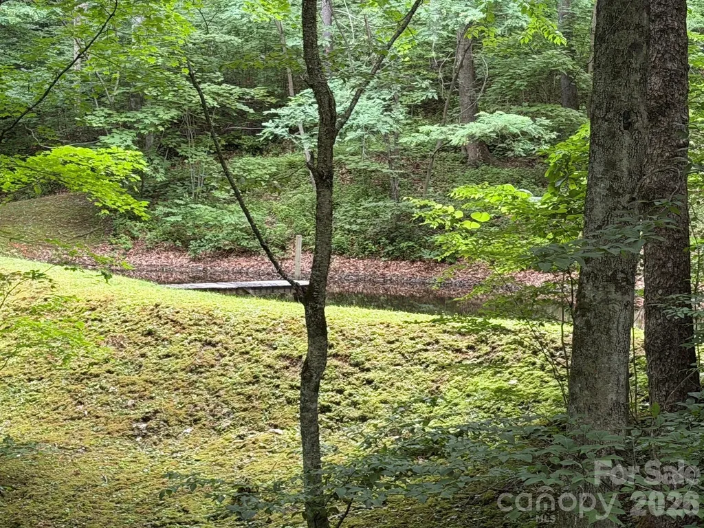 Lot 19 Iga Trail Maggie Valley NC 28751