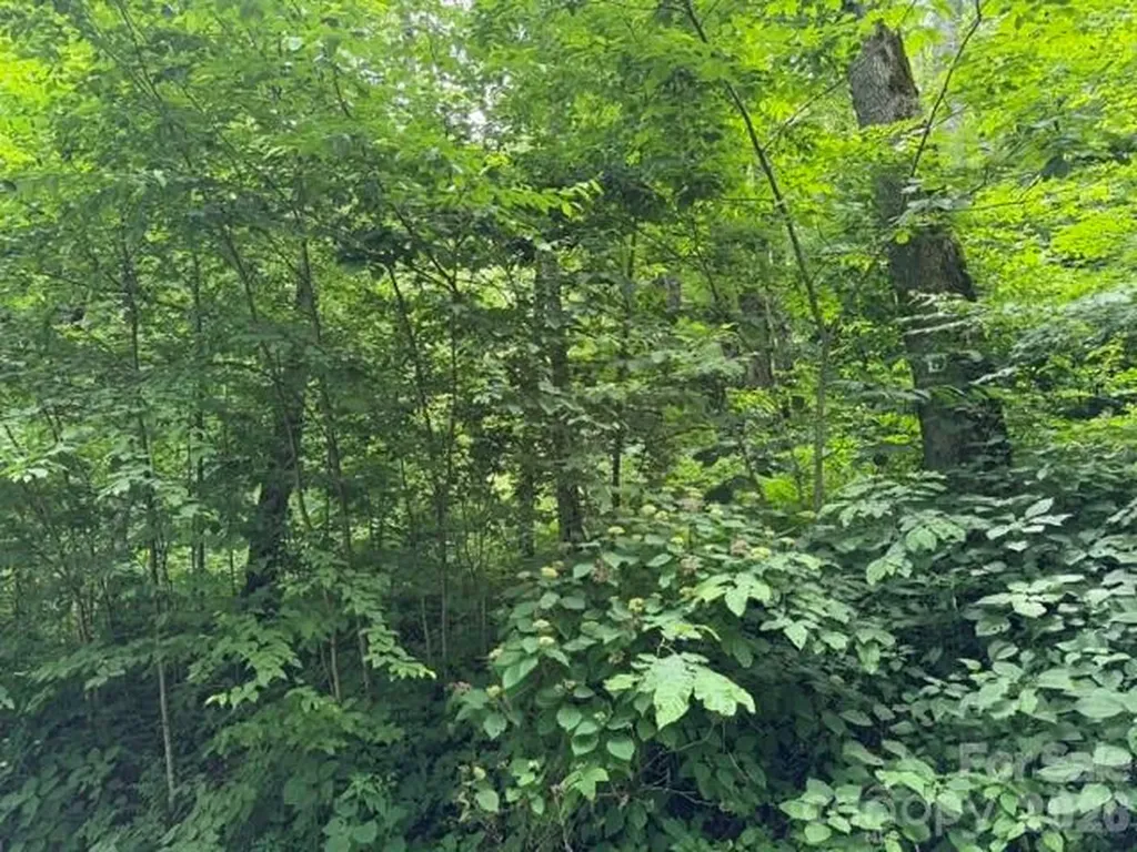 Lot 19 Iga Trail Maggie Valley NC 28751