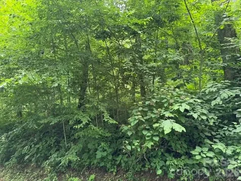 Lot 19 Iga Trail Maggie Valley NC 28751