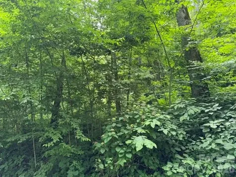 Lot 19 Iga Trail Maggie Valley NC 28751