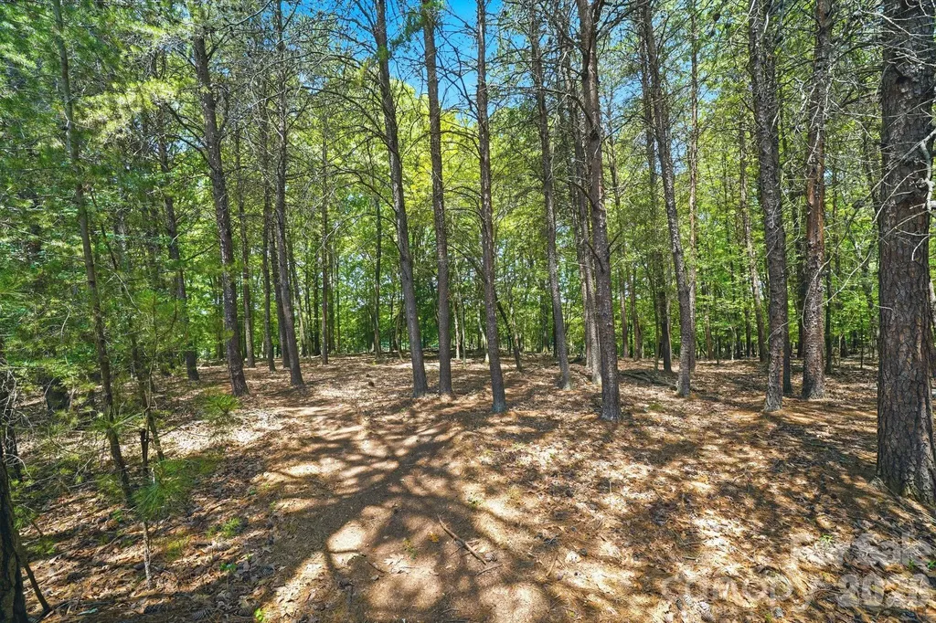 1324 Reflection Pointe Boulevard Belmont NC 28012