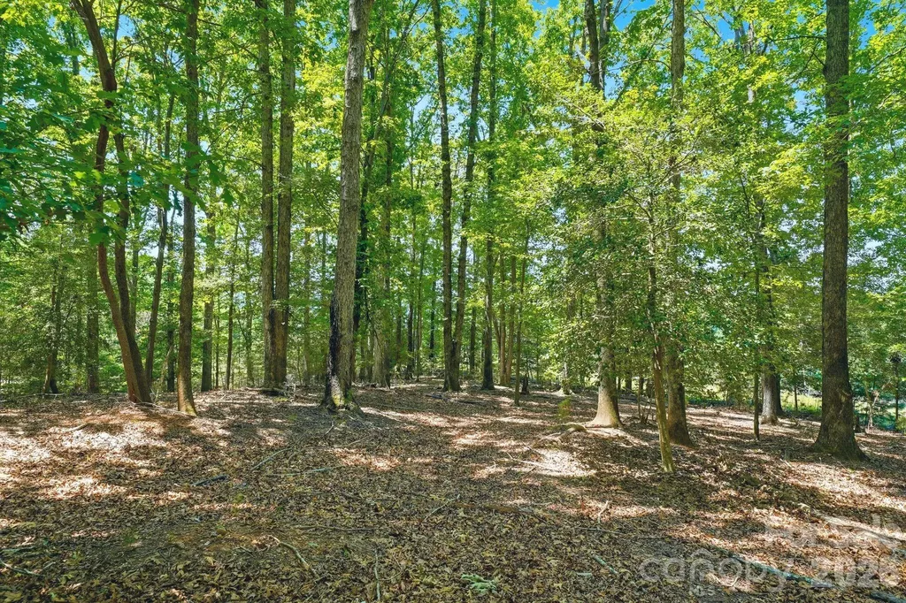 1324 Reflection Pointe Boulevard Belmont NC 28012