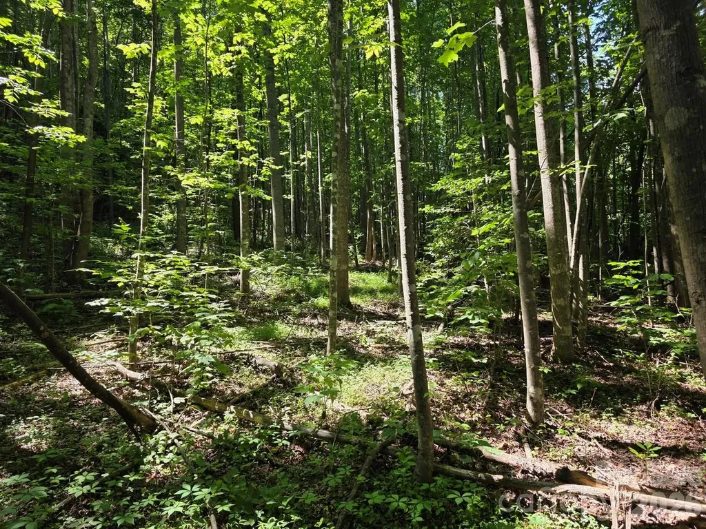 Lot 45 South View Court Marion NC 28752