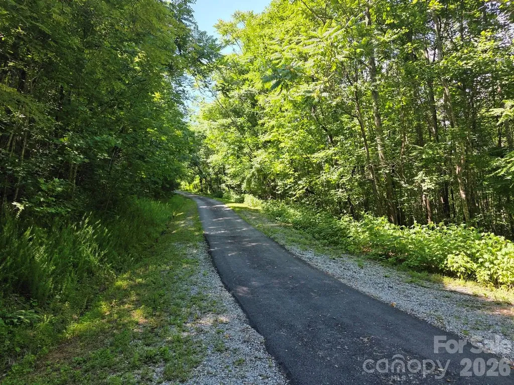 Lot 45 South View Court Marion NC 28752