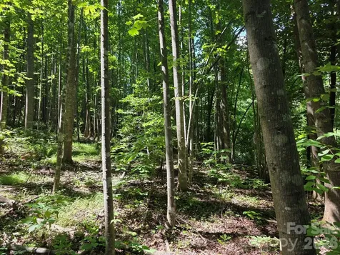 Lot 45 South View Court Marion NC 28752
