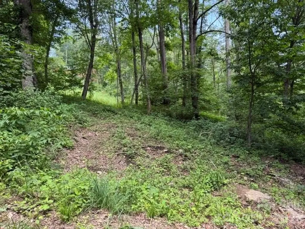 Lot 16 Iga Trail Maggie Valley NC 28751