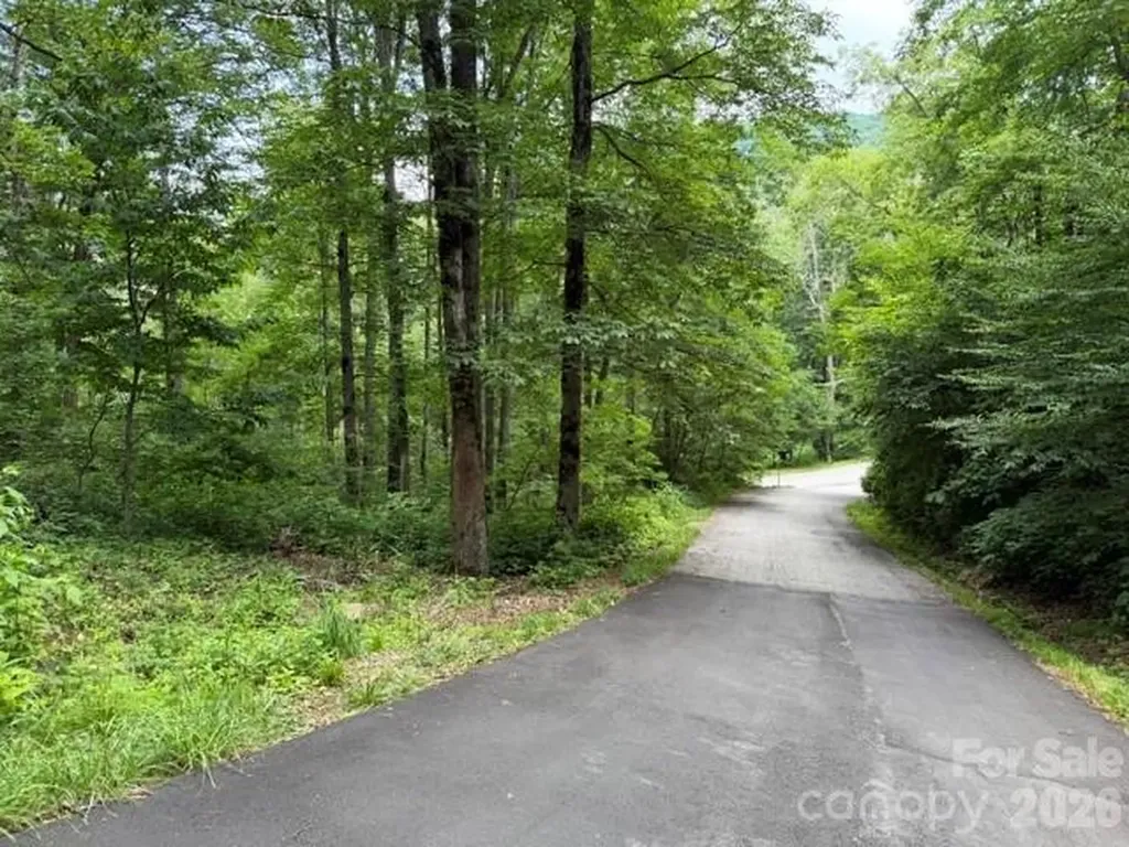 Lot 16 Iga Trail Maggie Valley NC 28751