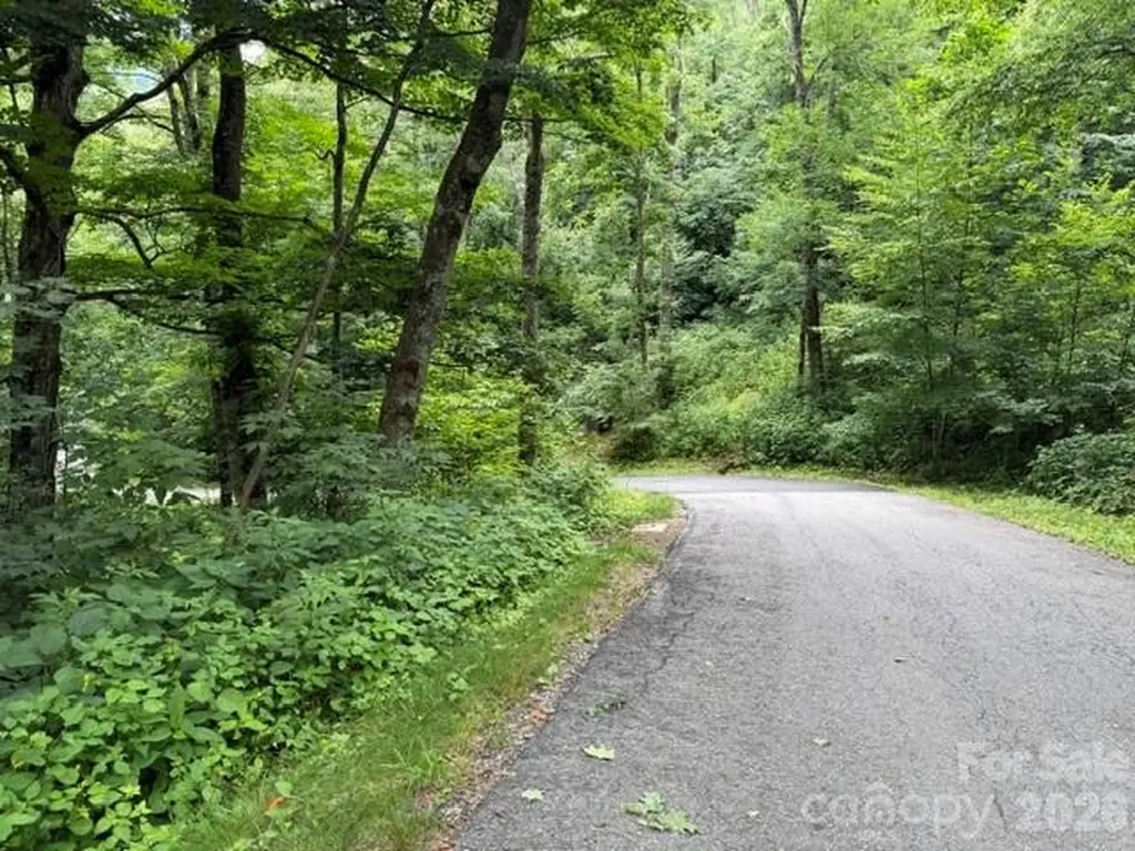 Lot 16 Iga Trail Maggie Valley NC 28751
