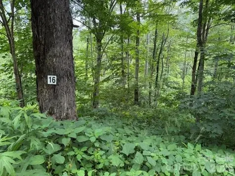 Lot 16 Iga Trail Maggie Valley NC 28751