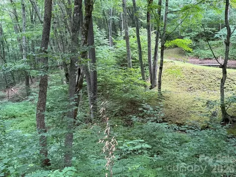 Lot 16 Iga Trail Maggie Valley NC 28751