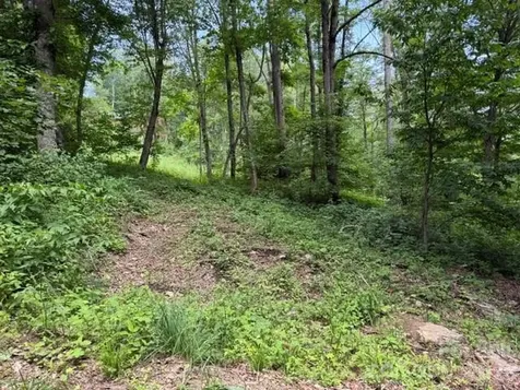 Lot 16 Iga Trail Maggie Valley NC 28751
