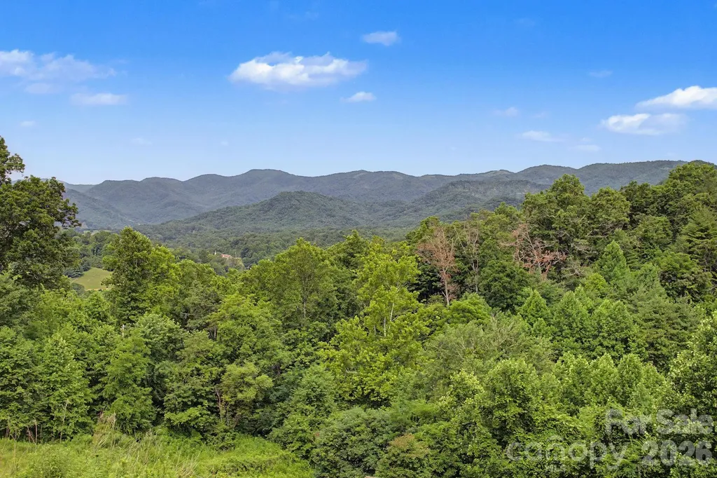 340 Earlys Mountain Road Leicester NC 28748