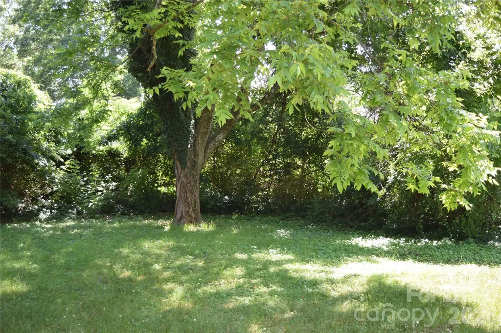 223 Maple Street Statesville NC 28677