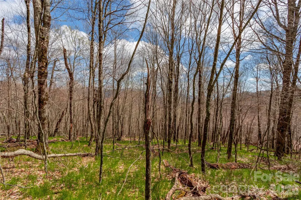 Lots 4,5 & 7 Mule Trail Drive Bakersville NC 28705