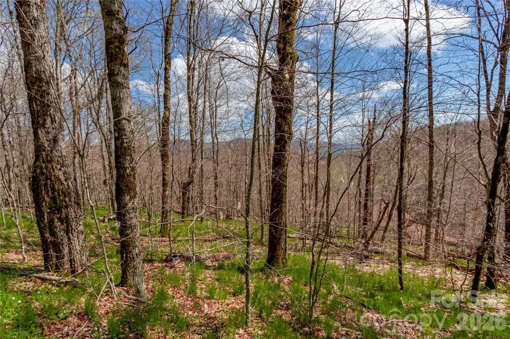 Lots 4,5 & 7 Mule Trail Drive Bakersville NC 28705