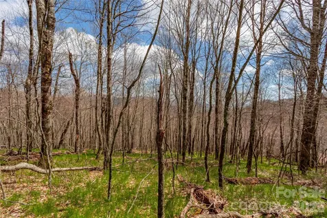 Lots 4,5 & 7 Mule Trail Drive Bakersville NC 28705