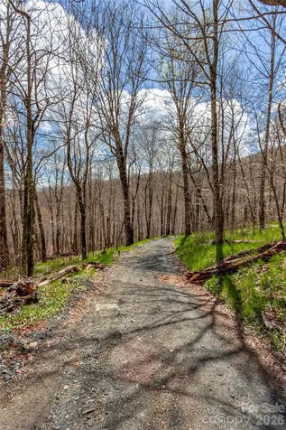 Lots 4,5 & 7 Mule Trail Drive Bakersville NC 28705