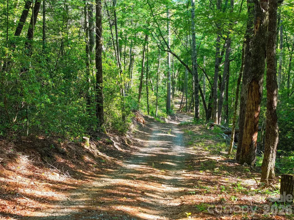 4017 Canada Road Tuckasegee NC 28783